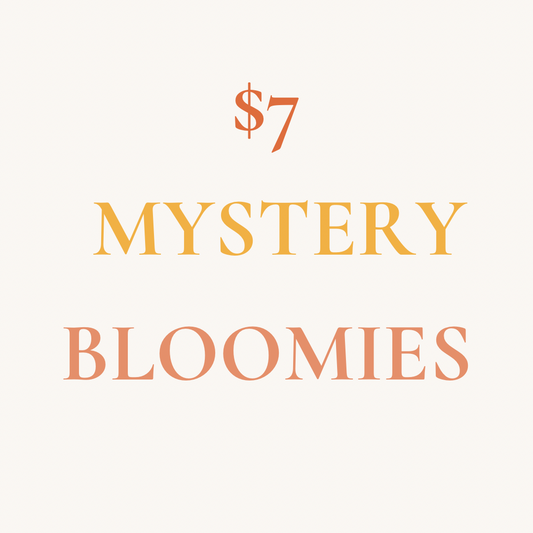 Mystery Bloomies